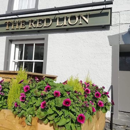 Red Lion Rooms - Self Check In Dalto-in-Furness Exteriör bild
